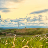 Schwierige Zeiten auch für das Eco-Portfolio