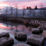 Vifor-Übernahme stützt FuW-Risk-Portfolio