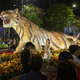 Gelingt Südostasien im Tiger-Jahr ein Sprung?
