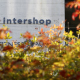 Intershop steigert Gewinn kräftig