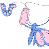 Neues Ranking: digitale Transformation in der Schweiz