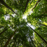 Das Eco-Portfolio läuft mit dem Gesamtmarkt