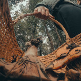 Diese Aktien lohnen sich jetzt erst recht