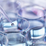 Mit Biotech-Risiken richtig umgehen