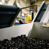 Lieblingsaktien mit Comeback-Potenzial 