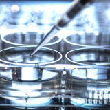 ADC-Therapeutics-Medikament zeigt gute Ansprechraten