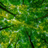 Zwei Jahre Eco-Portfolio: Eine erfreuliche Bilanz