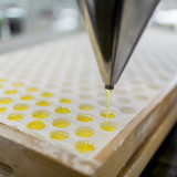 «Givaudan ist teurer und wächst langsamer»