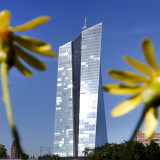 Grüne EZB-Ausrichtung setzt die SNB unter Druck