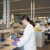 Pharma fürchtet die Lohninflation
