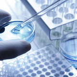 Roche schliesst neue Lizenzabkommen ab